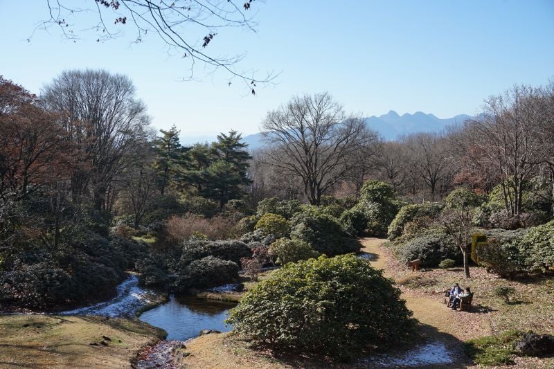 園内風景 | 今日の赤城自然園 | 赤城自然園