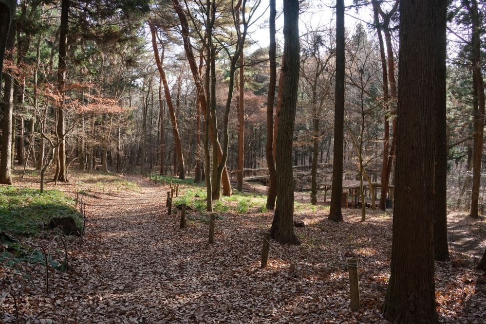 今日の赤城自然園