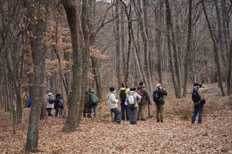 今日の赤城自然園