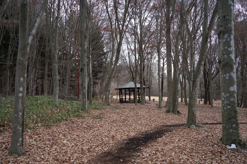 園内風景 | 今日の赤城自然園 | 赤城自然園