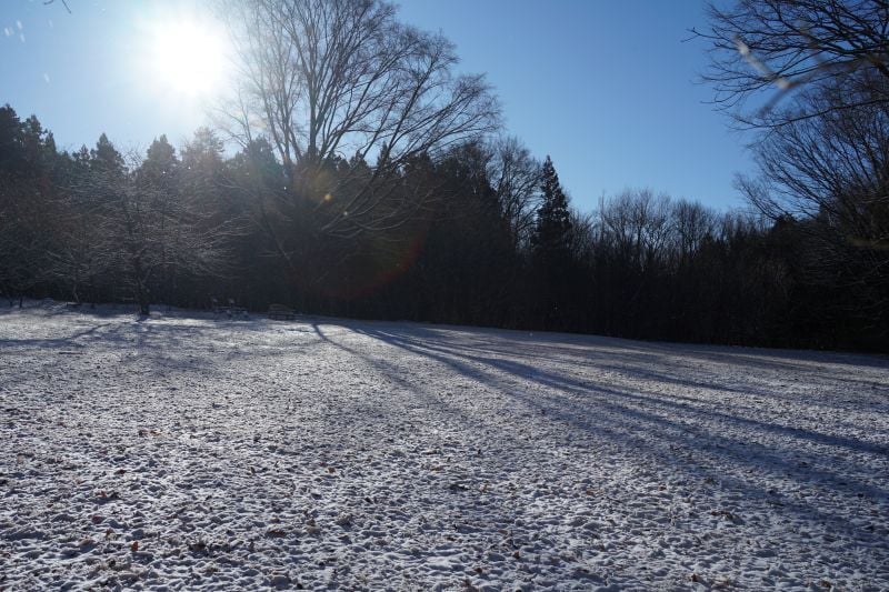 今日の赤城自然園