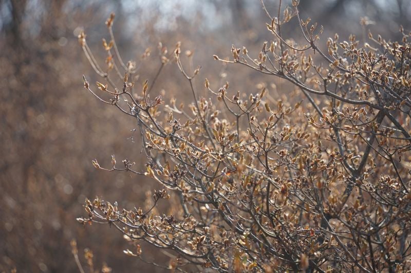 今日の赤城自然園