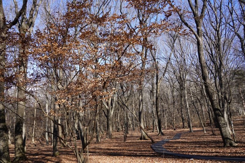 今日の赤城自然園