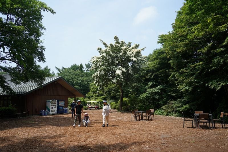 今日の赤城自然園