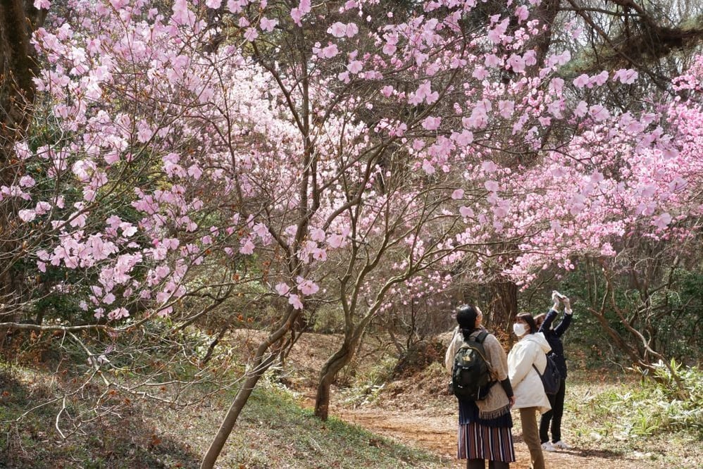 今日の赤城自然園