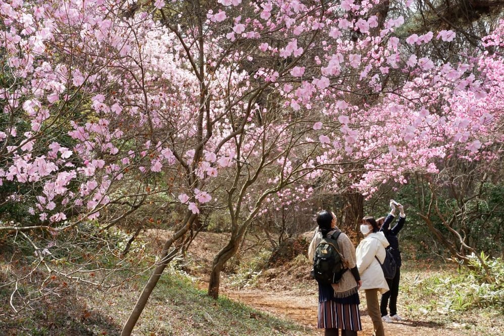 今日の赤城自然園