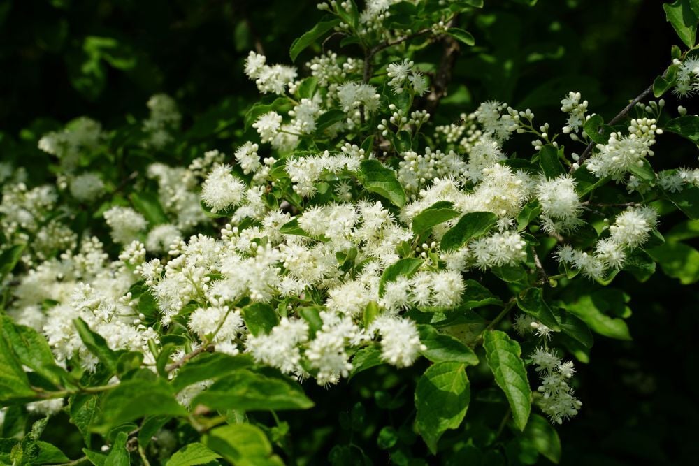 DSC04055