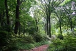 今日の赤城自然園