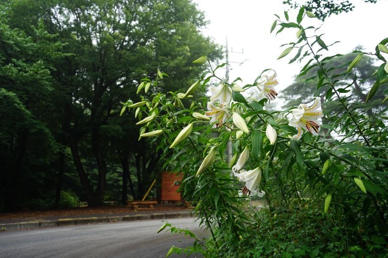 DSC04673