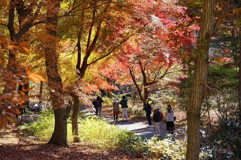 今日の赤城自然園