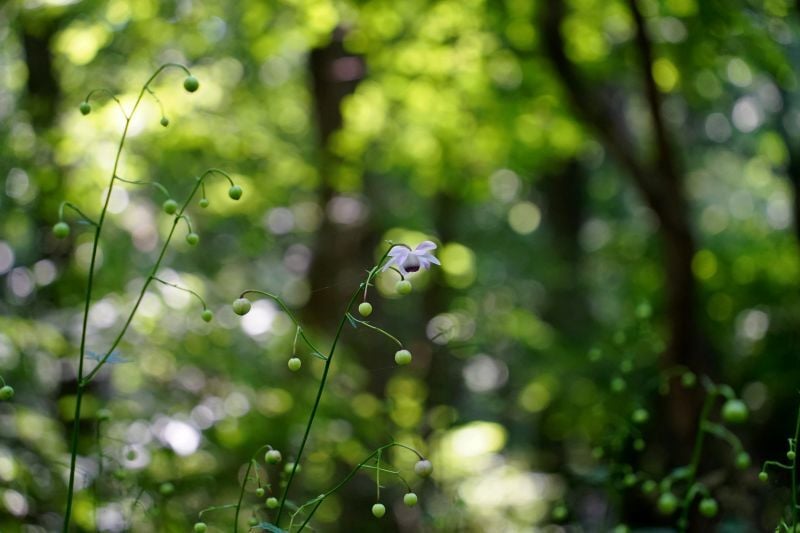 DSC05049-1