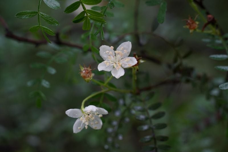 DSC05431
