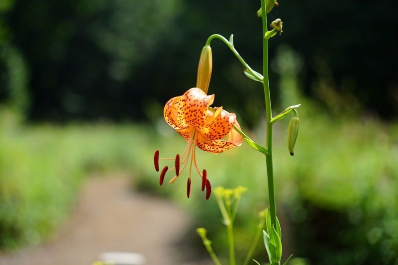 DSC05705