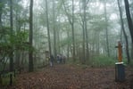 今日の赤城自然園