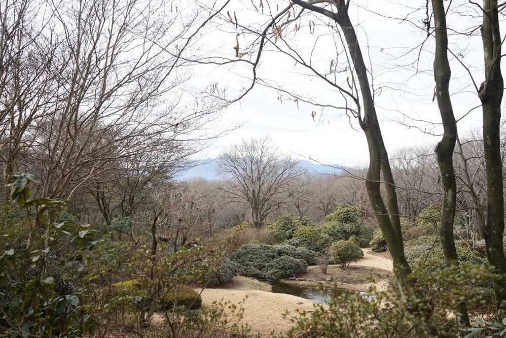 今日の赤城自然園