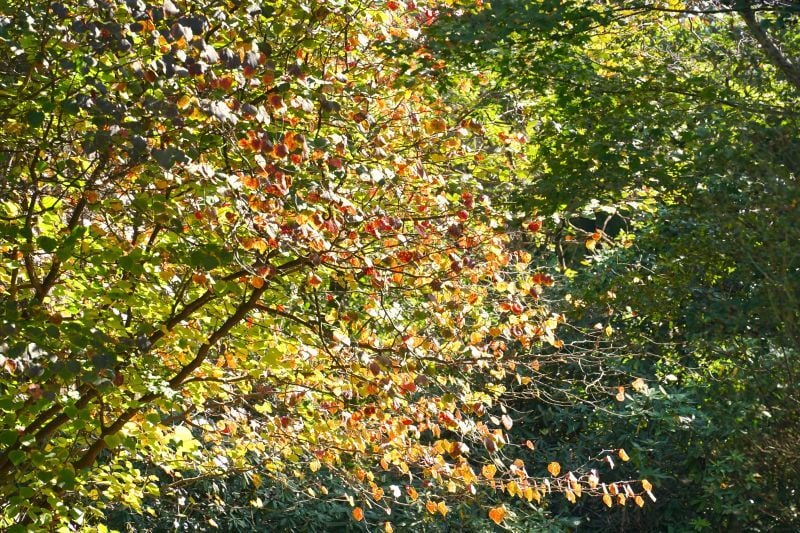 DSC06365