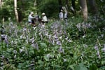 今日の赤城自然園