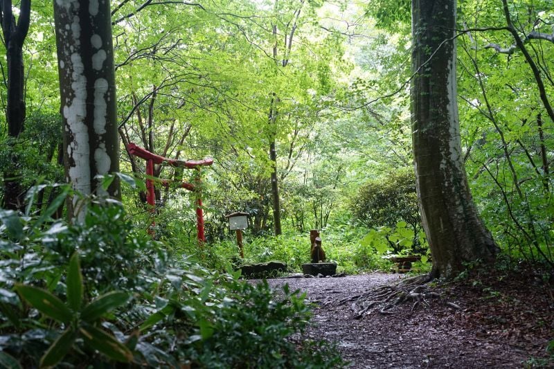 園内風景 | 今日の赤城自然園 | 赤城自然園