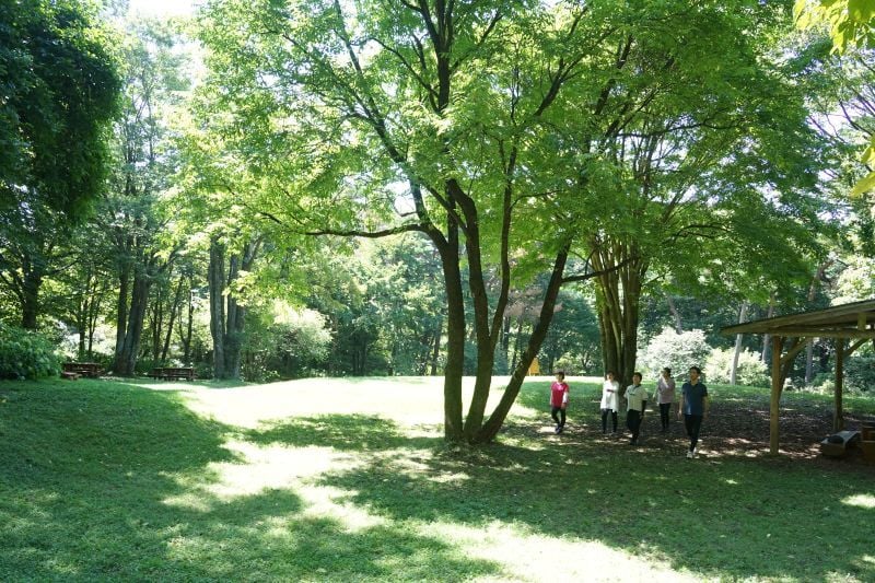 DSC08073