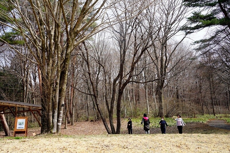 園内風景 | 今日の赤城自然園 | 赤城自然園