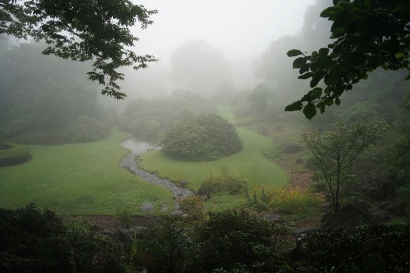 DSC08360-1