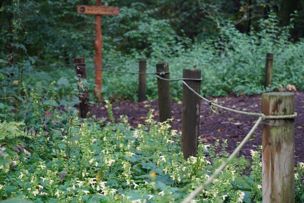 DSC08687