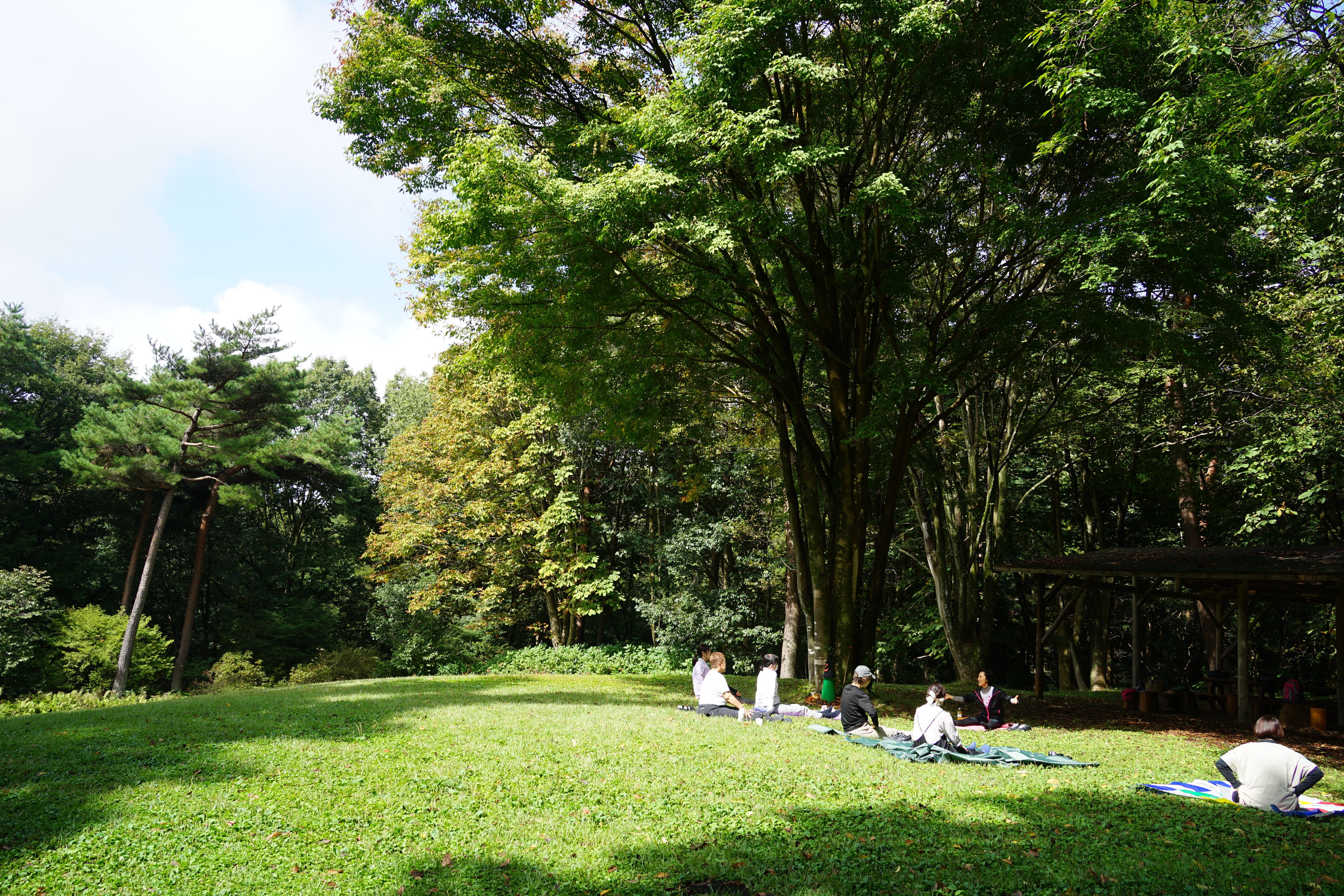 森 de スタイルアップ | 今日の赤城自然園 | 赤城自然園