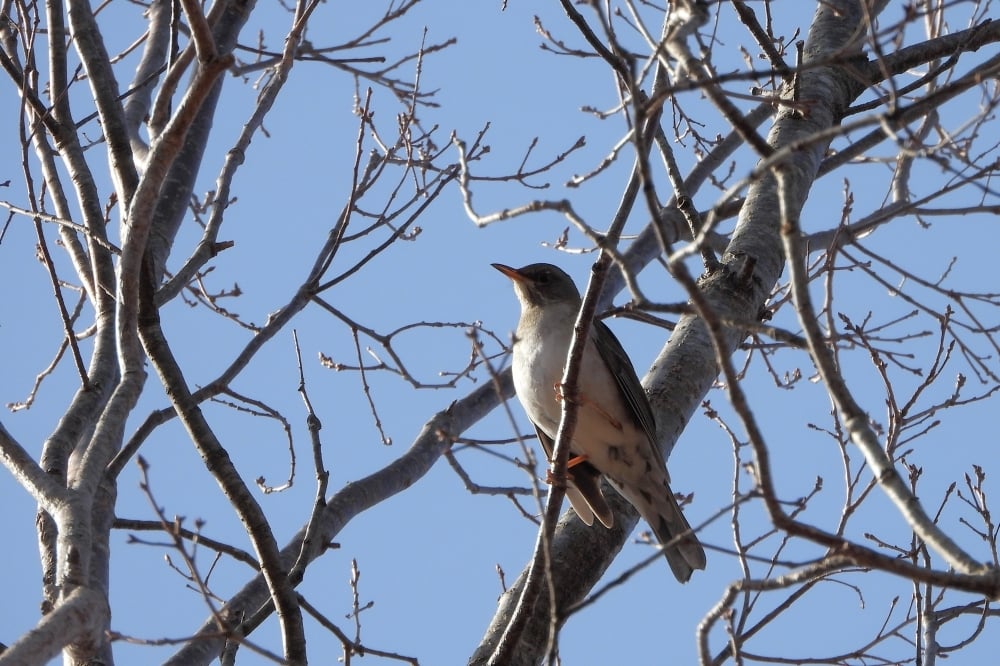 今日の赤城自然園