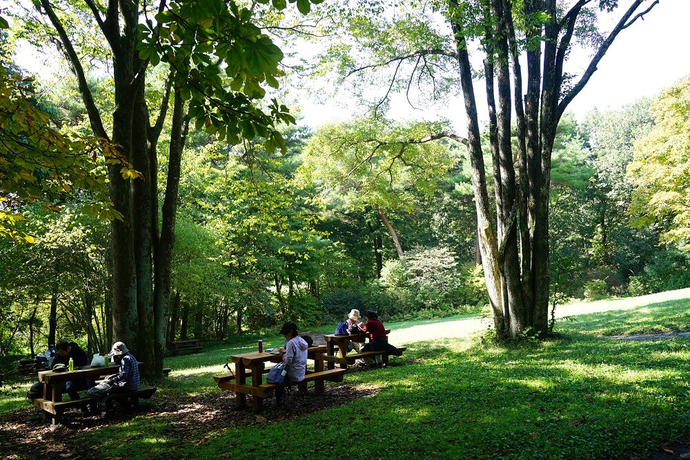 園内風景 | 今日の赤城自然園 | 赤城自然園