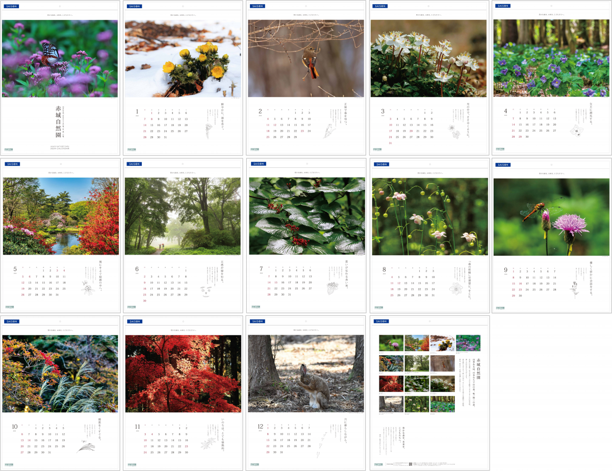 絵画　油絵　赤城自然園　ミニ美 油絵 油彩 油彩画 絵 絵画 ミニ絵画 【桜と富士山】 - メルカリ