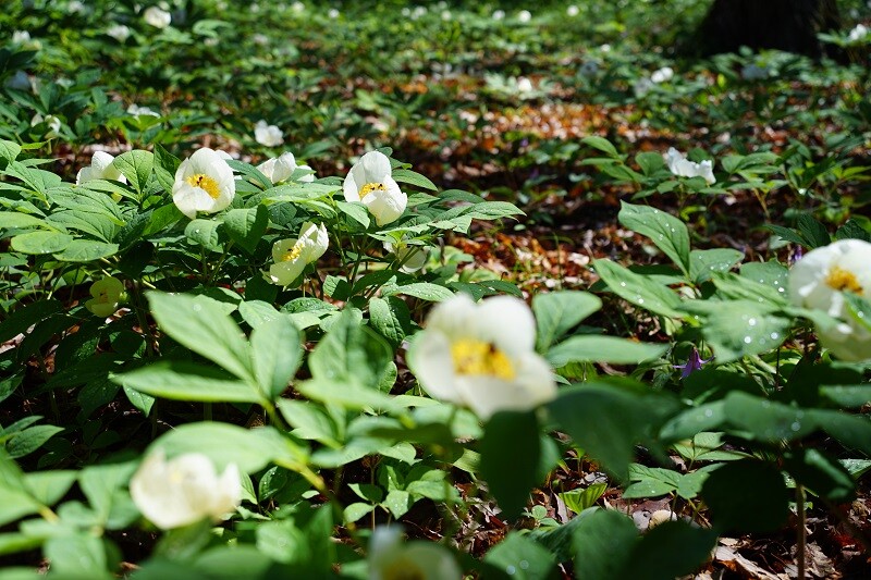 DSC09834-1-May-24-2024-07-07-