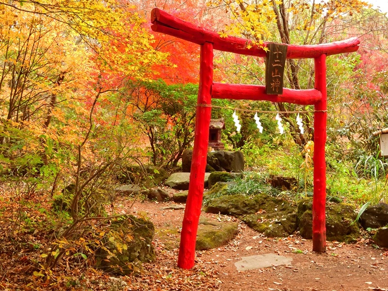 2019紅葉情報 No.4 | スタッフブログ | 赤城自然園