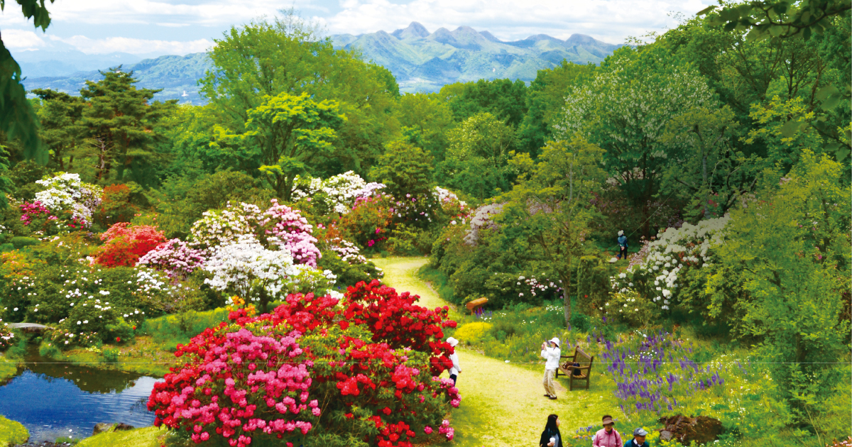 フォトコンテスト2023 受賞作品一覧 | 赤城自然園フォトコンテスト