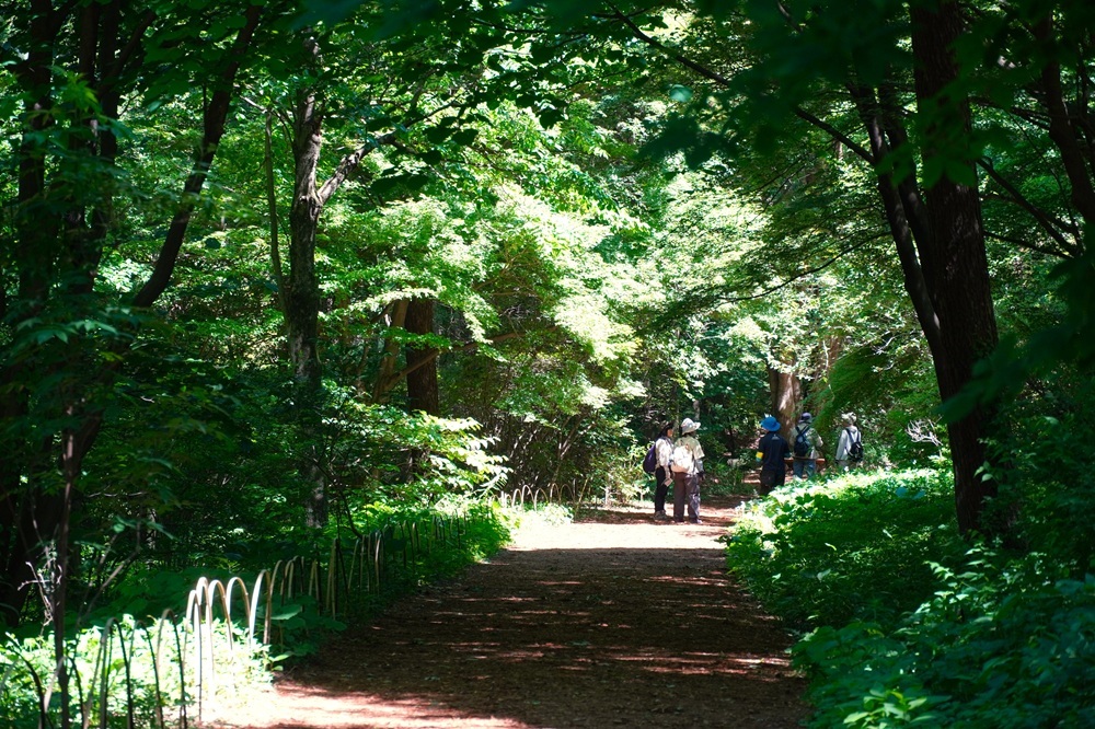 園内風景 | 今日の赤城自然園 | 赤城自然園