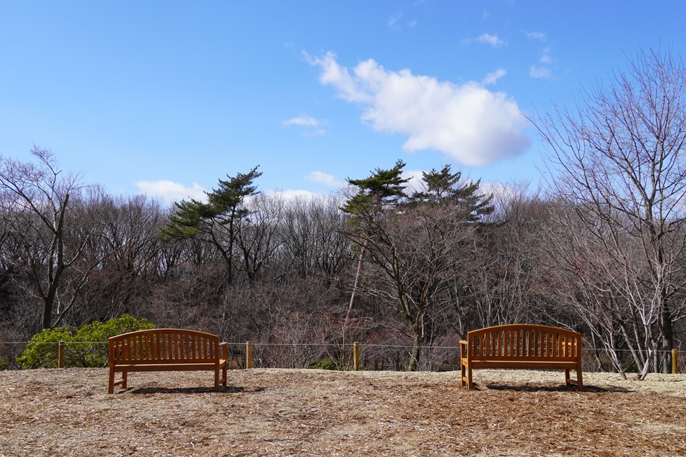 園内風景 | 今日の赤城自然園 | 赤城自然園