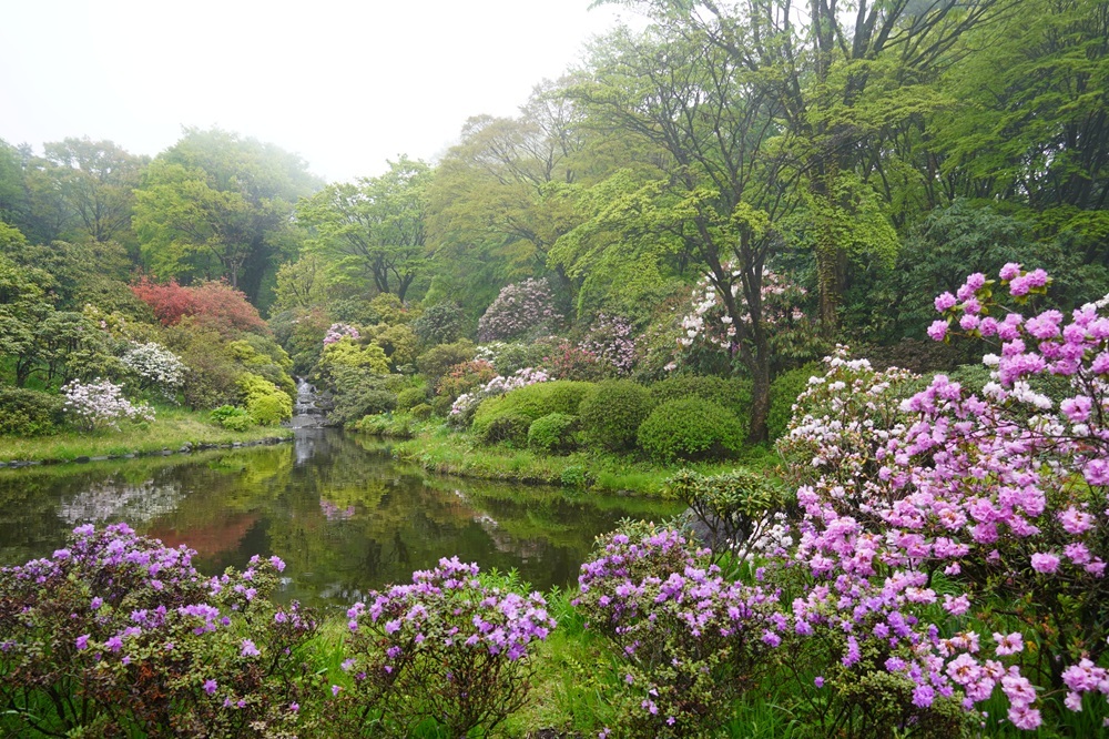 園内風景 | 今日の赤城自然園 | 赤城自然園