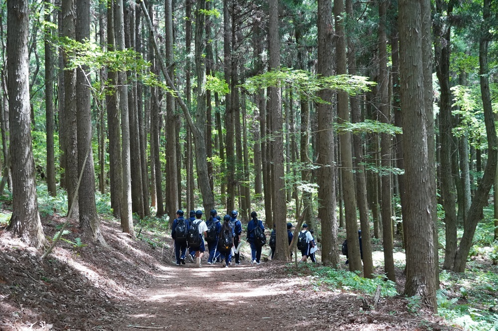 園内風景 | 今日の赤城自然園 | 赤城自然園