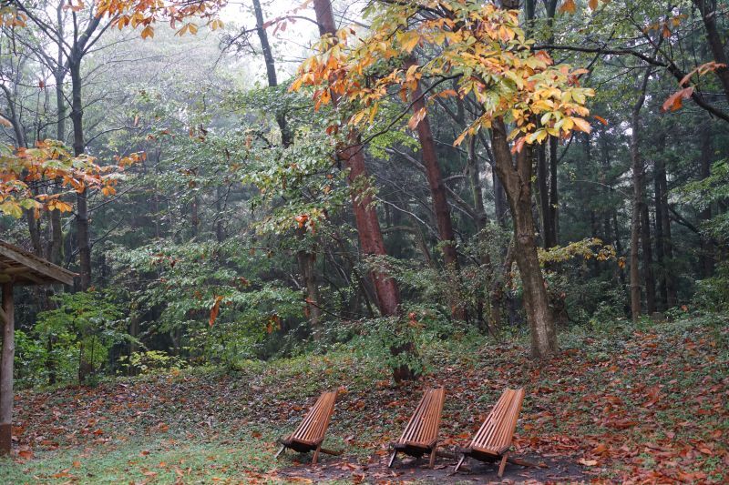 園内風景 | 今日の赤城自然園 | 赤城自然園