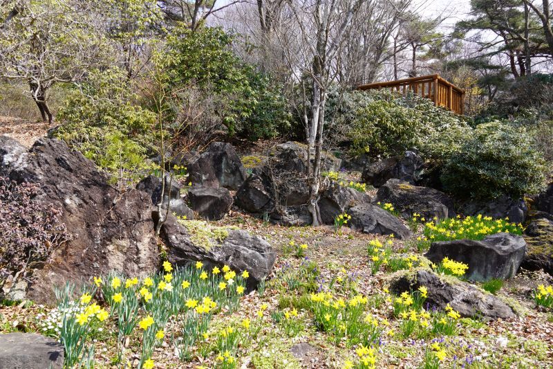 園内風景 | 今日の赤城自然園 | 赤城自然園
