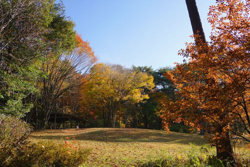 園内風景 | 今日の赤城自然園 | 赤城自然園