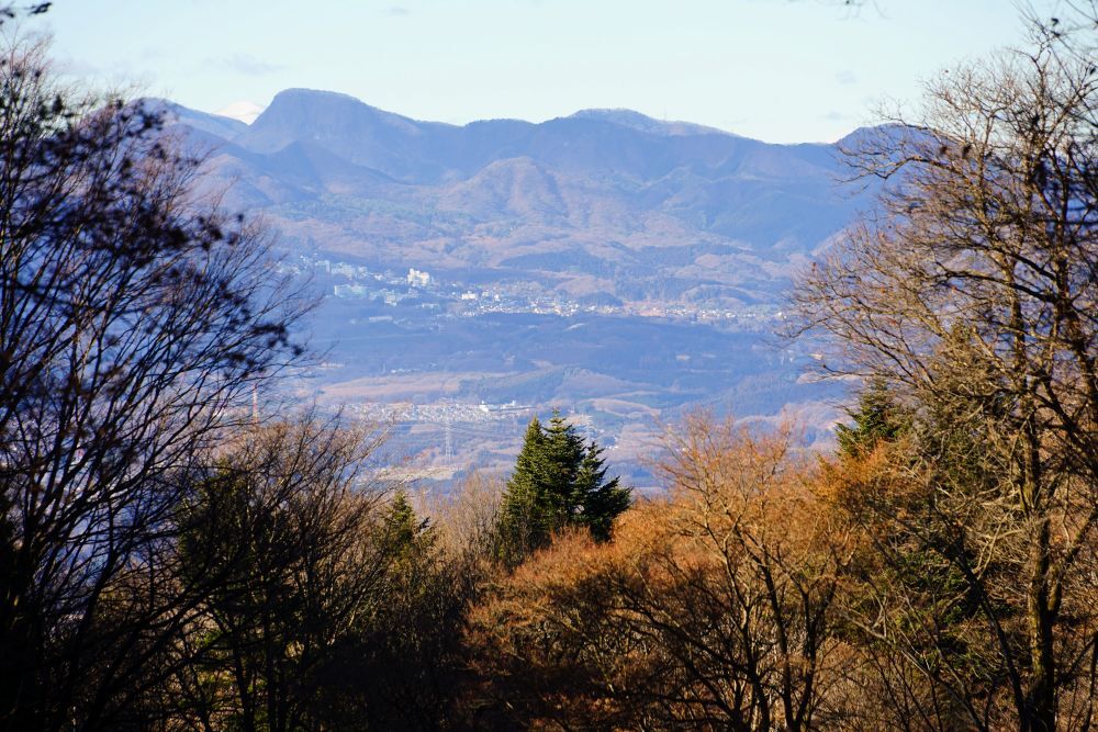 園内風景 | 今日の赤城自然園 | 赤城自然園