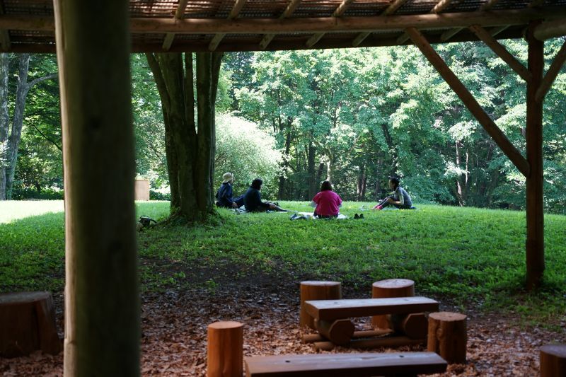 園内風景 | 今日の赤城自然園 | 赤城自然園