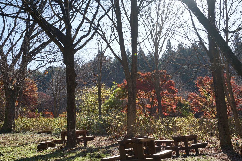 園内風景 | 今日の赤城自然園 | 赤城自然園