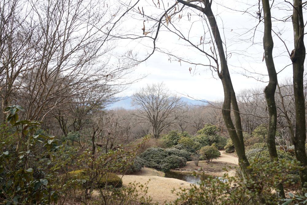 園内風景 | 今日の赤城自然園 | 赤城自然園