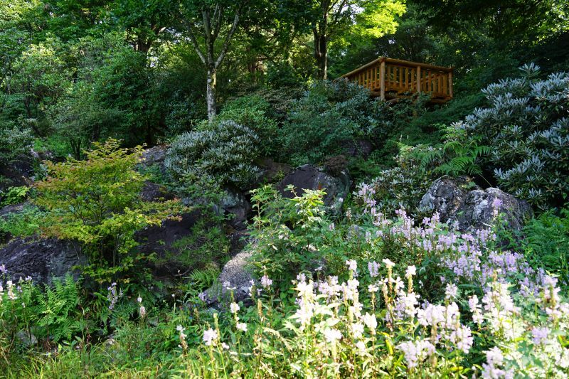 園内風景 | 今日の赤城自然園 | 赤城自然園