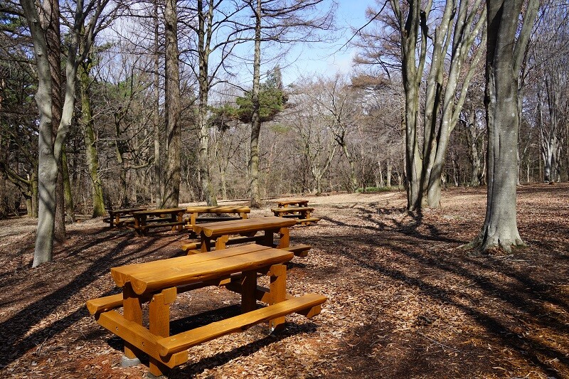 園内風景 | 今日の赤城自然園 | 赤城自然園