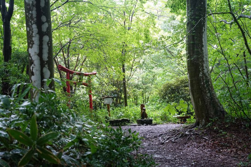 園内風景 | 今日の赤城自然園 | 赤城自然園