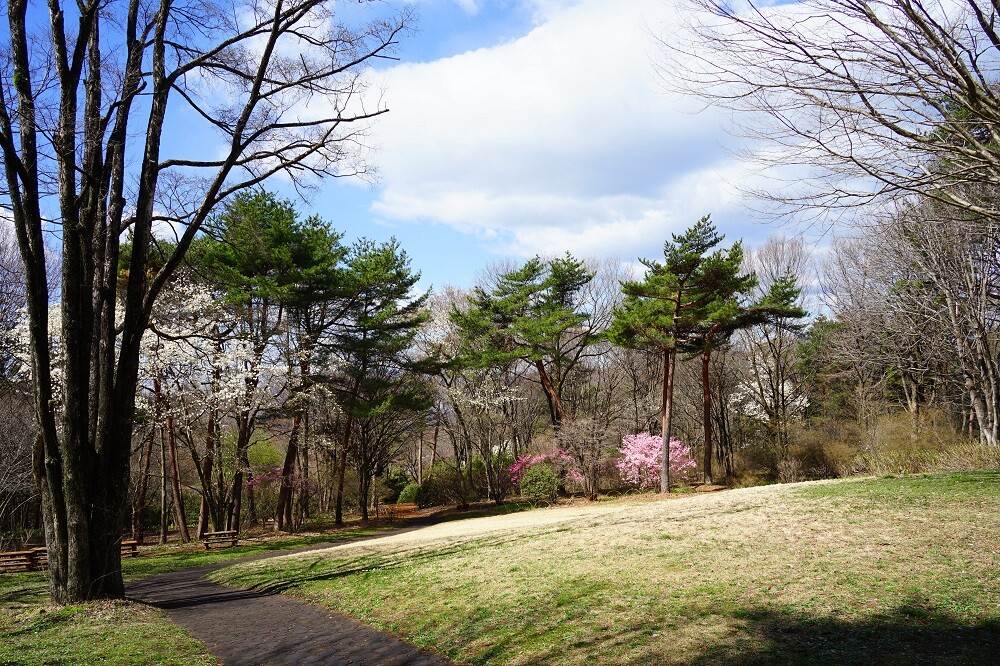 園内風景 | 今日の赤城自然園 | 赤城自然園