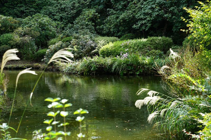 園内風景 | 今日の赤城自然園 | 赤城自然園