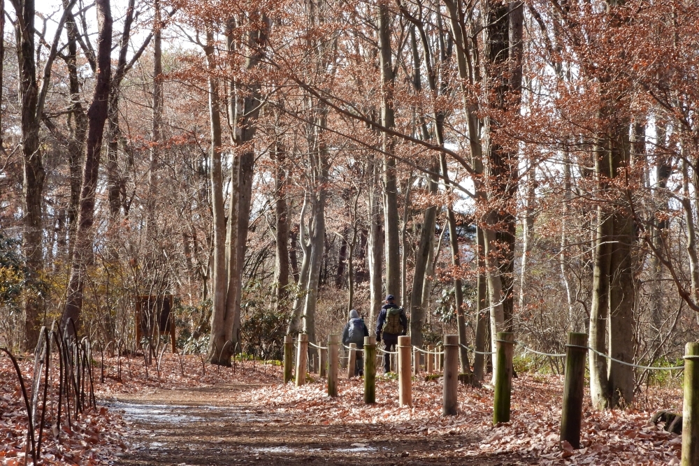 園内風景 | 今日の赤城自然園 | 赤城自然園